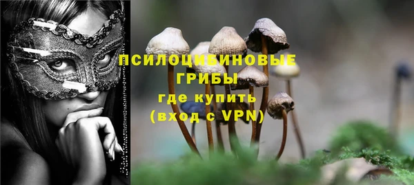 хмурый Зеленодольск