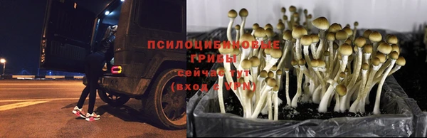 кокс Зеленокумск