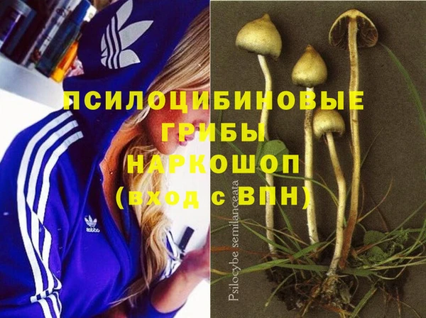 хмурый Зеленодольск