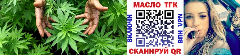 Купить где  Слюдянка  ТГК THC oil 